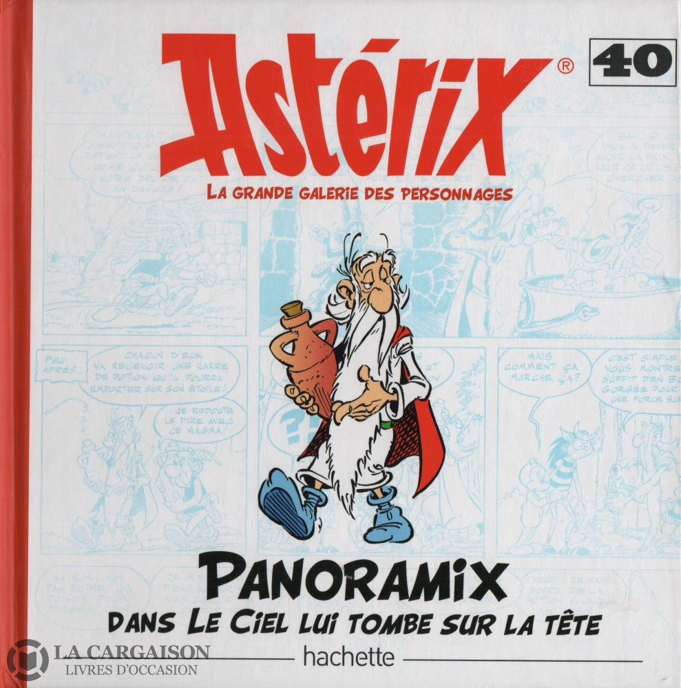 Asterix - La Grande Galerie Des Personnages. Tome 40:  Panoramix Dans Le Ciel Lui Tombe Sur La Tête