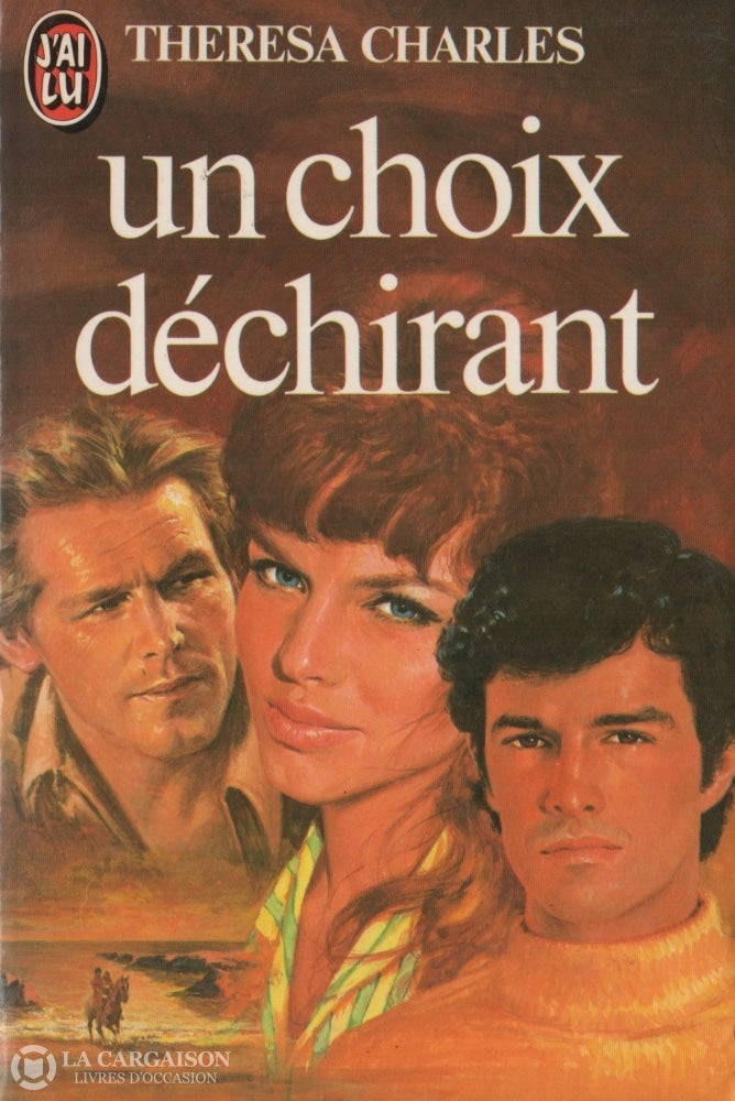 Charles Theresa. Un Choix Déchirant Livre