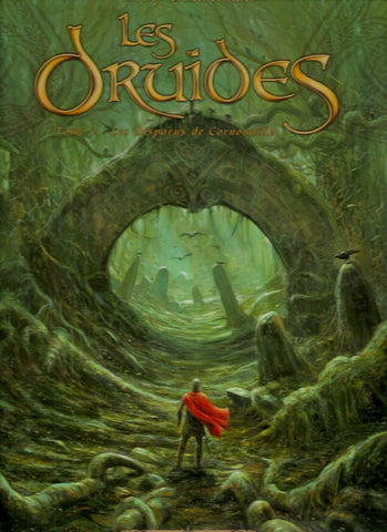 DRUIDES (LES). Tome 07 : Les Disparus de Cornouaille