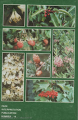 Ryan A. Glen. Native Trees And Shrubs:  Of Newfoundland Labrador Livre